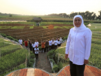 Mewujudkan Dewi Cemara Melalui Crop Circle Pertanian di Kediri,  Ini Pesan Gubernur Jatim