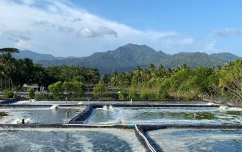 Batal Demo! Tambak Udang di Trenggalek Disegel, AMUK Puji Tindakan Cepat Satpol PP