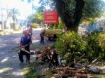Dinas Lingkungan Hidup Kota Kediri lakukan penebangan pohon yang tumbang di jalan raya