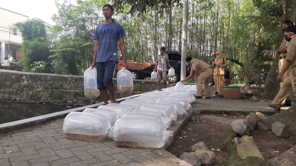 Dinas Perikanan Bantu Bibit Ikan Melalui Koperasi Unit Desa