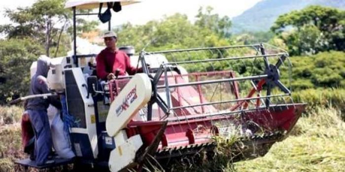 Dinas Pertanian  Ibaratkan Petani Kecil Yang Terus  Memproduksi Pangan adalah Pahlawan Bangsa