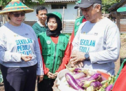 Dua Pejabat Kediri Panen Sayur di Sekolah Ini, Hebat!