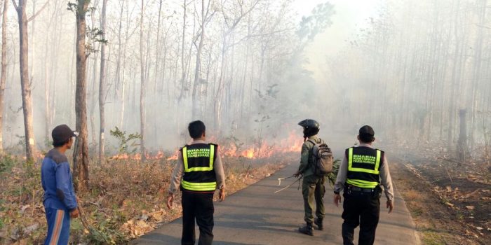 Kebakaran Hutan Terus Meluas, Polhut Belum Berhasil Tangkap Pelaku Pembakaran Hutan