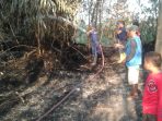 Gara Gara Daun Tebu Kering Dibakar, Kebun Bambu Di Drenges Ludes Dilalap Si Jago Merah