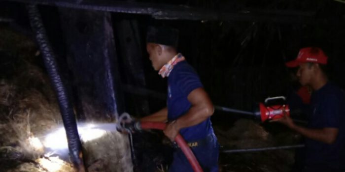 Lalai Mematikan Api Diang, Kandang Sapi Ludes Dilalap Si Jago Merah