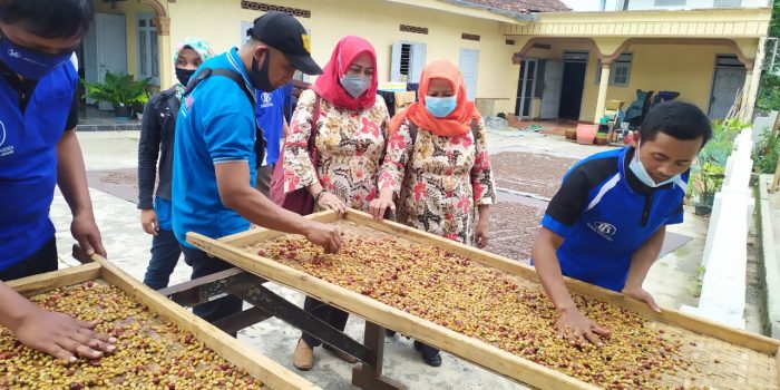 Disperta Nganjuk Intens Tingkatkan Potensi Petani Kopi