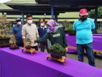 Kontes Bonsai Kediri Bersatu, Pemda Dorong Petani Bonsai Untuk Eksport