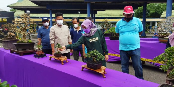 Kontes Bonsai Kediri Bersatu, Pemda Dorong Petani Bonsai Untuk Eksport