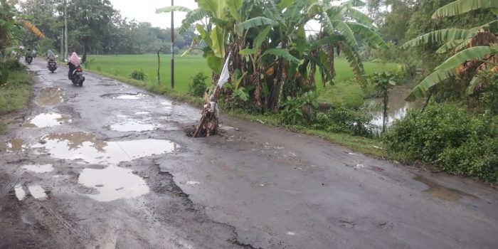 Potret Wisata Jeglongan Sewu Di Surodadi , Sisa Pembangunan Daerah Yang Terabaikan