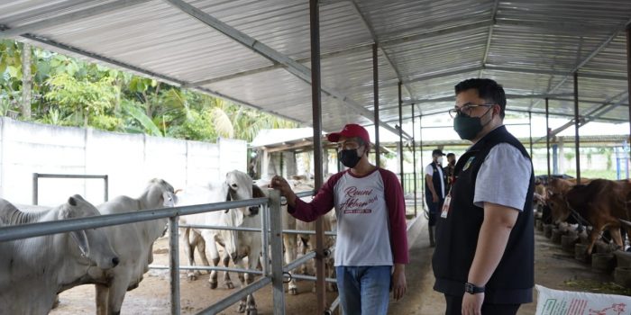 Poktan Berhasil Mengolah Limbah Sapi Jadi Biogas, Ini Kata Bupati Kediri