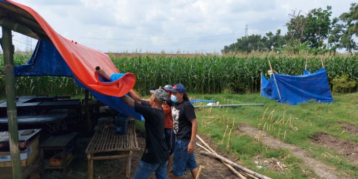 Resmob Polres Nganjuk Gerebek Judi Sabung Ayam