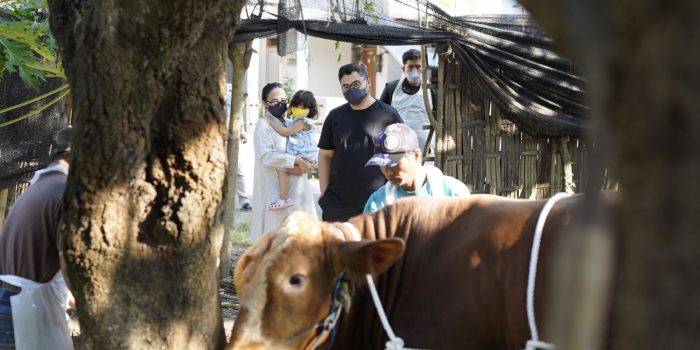 Mas Dhito Gendong Shanaya Tengok Boni, Sapi Simmental yang Dikurbankan