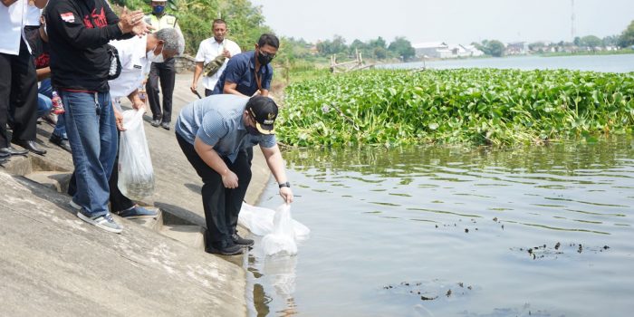 Jaga Ekosistem Bupati Kediri Tebar 50000 Benih Ikan