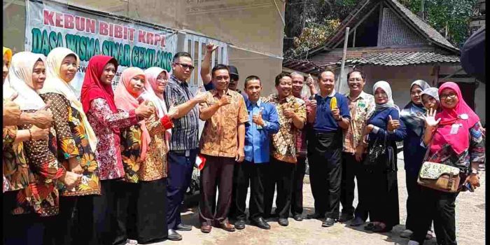 Kampung Sayur Organik Wakili Lomba Tingkat Nasional Tatanan Ketahanan Pangan Dan Gizi