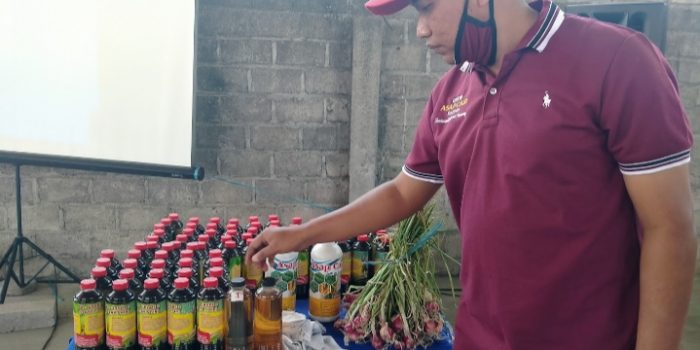 Insektisida Alami dari Bahan Limbah Batok Kelapa