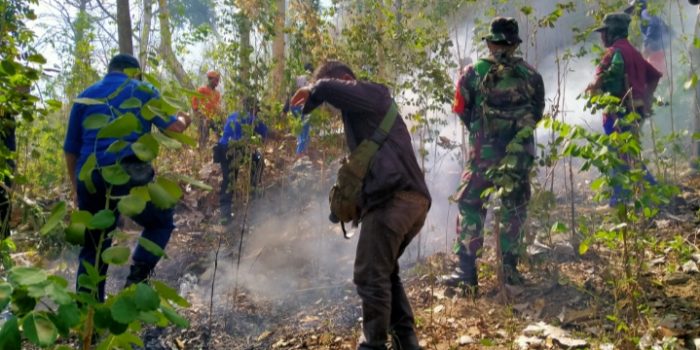 Hutan Petak 128 Terjadi Kebakaran Petugas Gabungan Memadamkan Api dengan Ranting