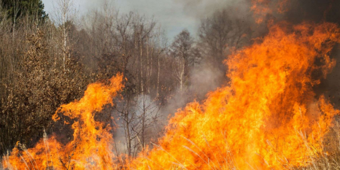 Kota Kediri Terancam Terbakar! Cuaca Ekstrem Membayangi Masa Depan