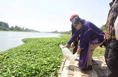 Pj Wali Kota Kediri Zanariah Bersama WWI Rayakan HUT RI dengan Penebaran Ikan