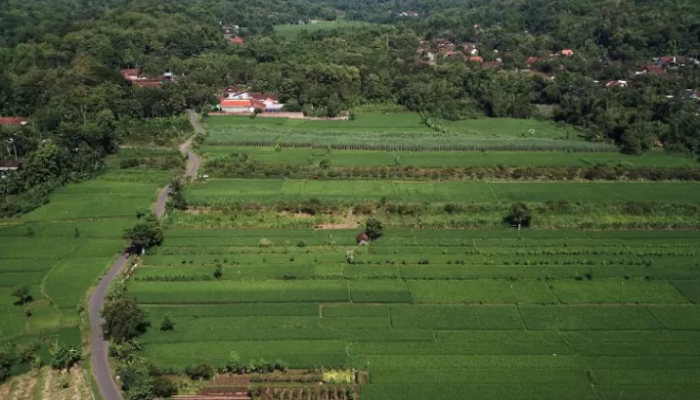 Progres Mengejutkan Pengadaan Tanah Tol Kediri-Tulungagung!