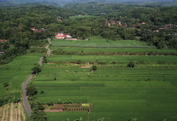 Progres Mengejutkan Pengadaan Tanah Tol Kediri-Tulungagung!