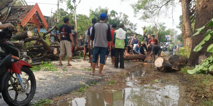 Puting Beliung Terjang Tiga Kecamatan, Puluhan Atap Rumah Penduduk Dan Pohon Tepi Jalan Porak Poranda , Satu Tiang Listrik Patah