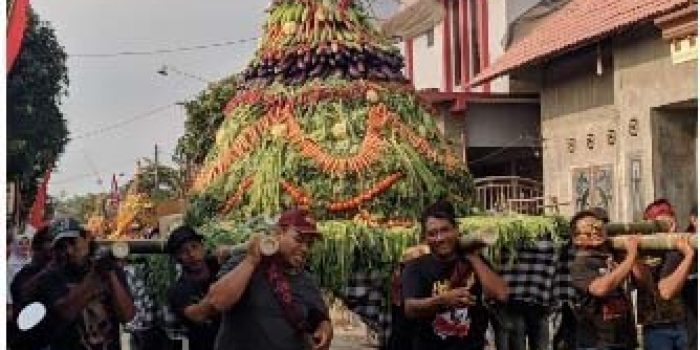 Sepuluh Gunungan Palawija Kirab Budaya Sedekah Bumi – Diiringi Penari dari Dinas Pariwisata