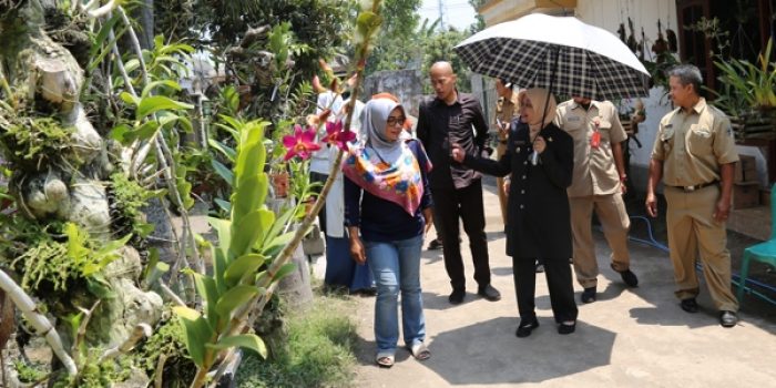 Budidaya Tanaman Florikultura Anggrek Dukung Sektor Pariwisata Gunung Kelud