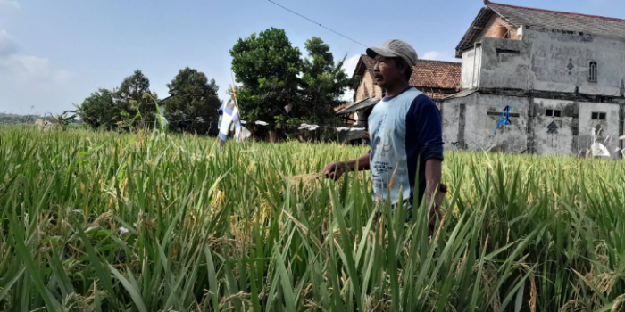 Wow! Kabupaten Kediri Bertransformasi: Sektor Perekonomian Terobos Angka!