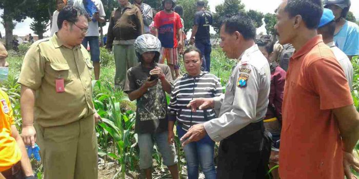 Nenek Warga Jalan Agung Tidak Pulang Sehari Ditemukan Meninggal Diarea Persawahan