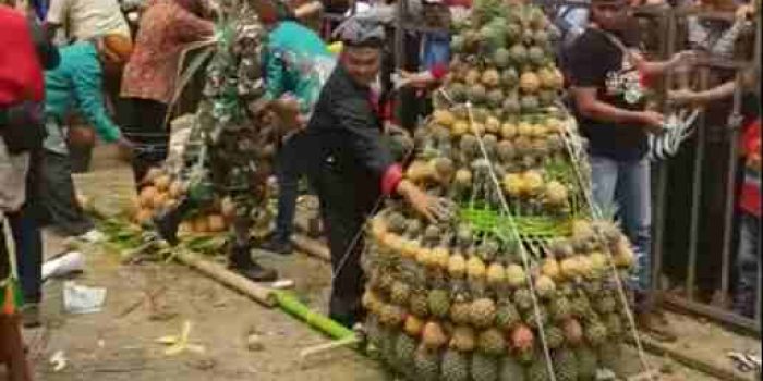 Festival Nanas, Mendongkrak Popularitas dan Produk Unggulan Yang Dimiliki Warga Ngancar